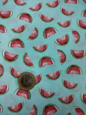 F04 watergroen met watermeloentjes